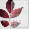 icon_madi