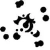 oigami