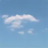 沼田友